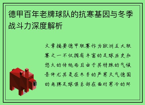 德甲百年老牌球队的抗寒基因与冬季战斗力深度解析